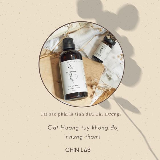 Tinh Dầu Oải Hương 10ml (Lavandula angustifolia) - Chinlab
