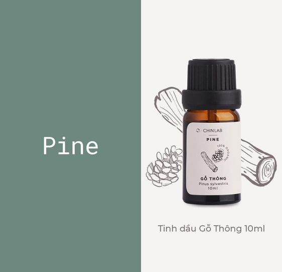 Tinh Dầu Gỗ Thông 10ml (Pinus sylvestris) - Chinlab