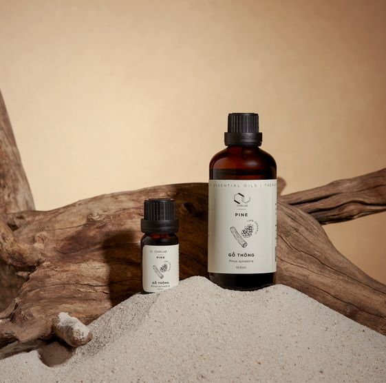 Tinh Dầu Gỗ Thông 10ml (Pinus sylvestris) - Chinlab